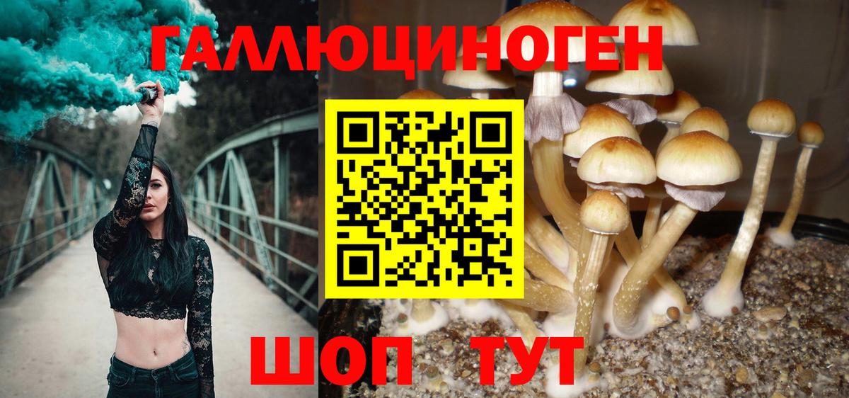 Галлюциногенные грибы мухоморы Геленджик
